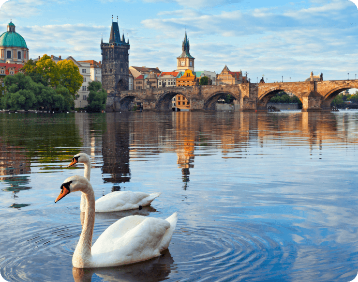 Partner pro příjezdovou turistiku